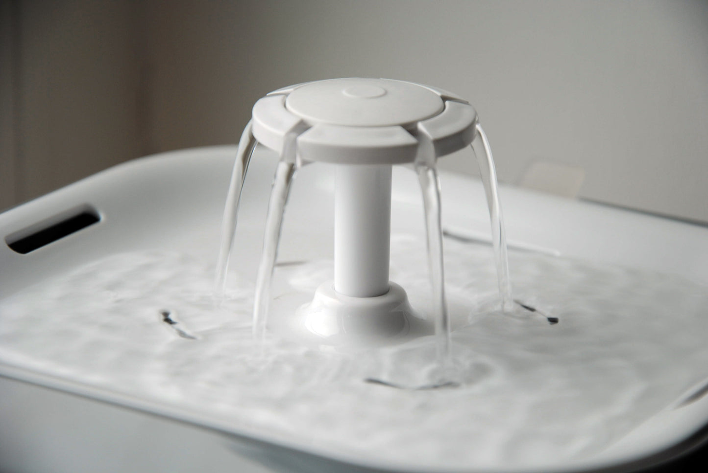 Pet Fountain