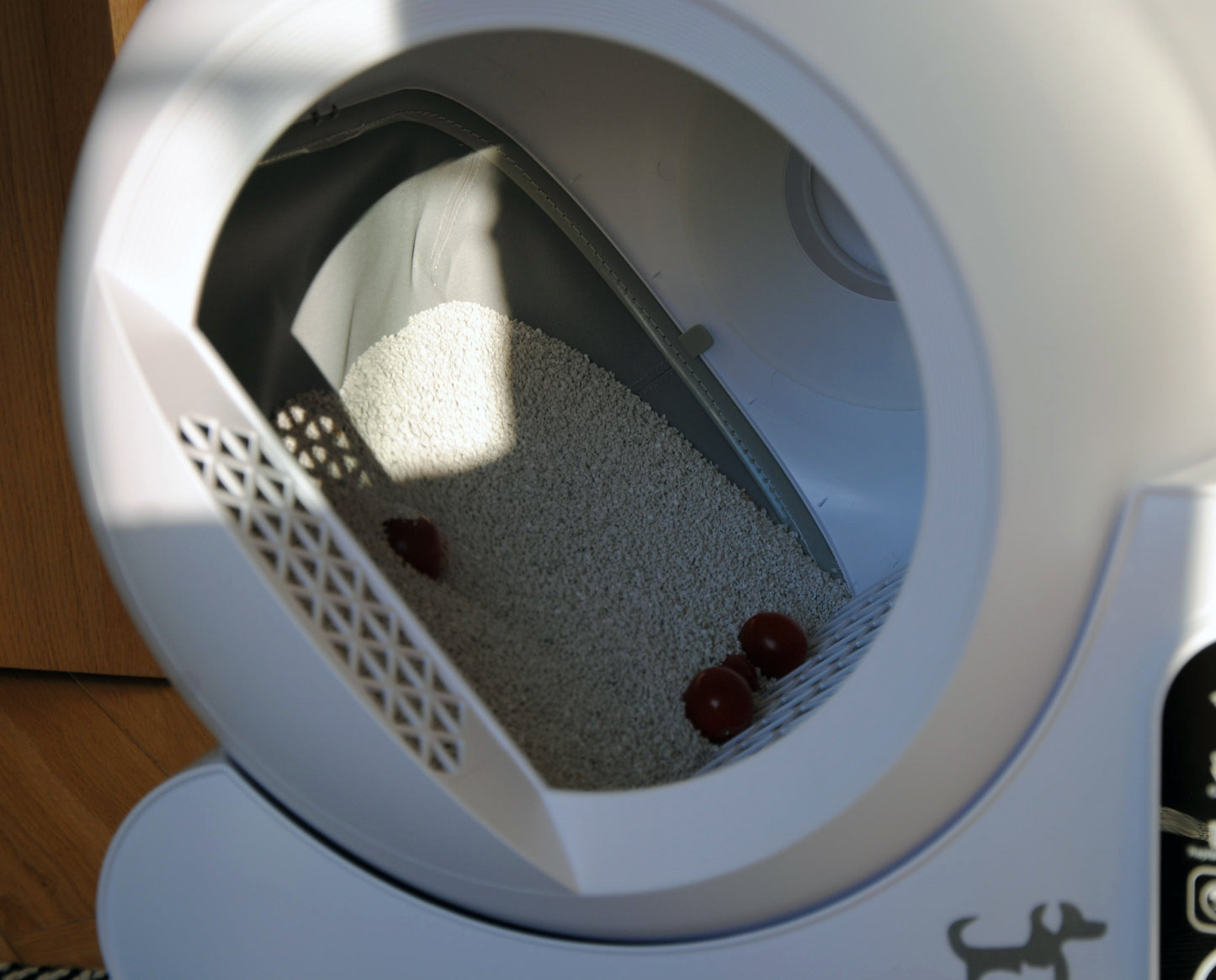 Automatic Litter Box