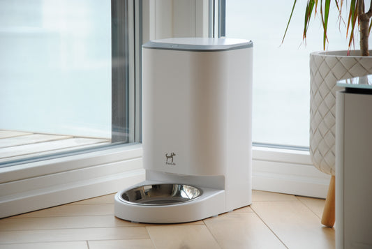Smart Pet Feeder